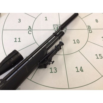 Gamo GX250 .177 Package